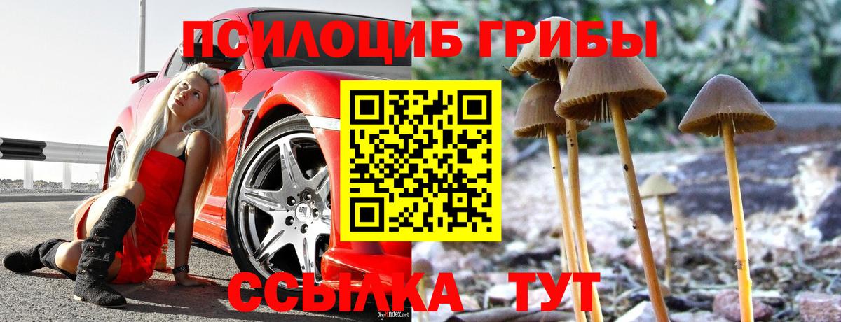 Галлюциногенные грибы Psilocybe  Вход с VPN  Воркута 