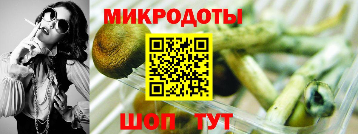 Псилоцибиновые грибы Psilocybine cubensis Воркута